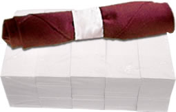 Rofson Associates Inc. - Napkin Band, White