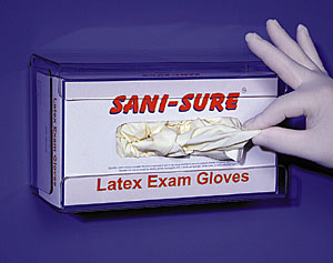 Rofson Associates Inc. - Glove, Vinyl, Disposable, Large